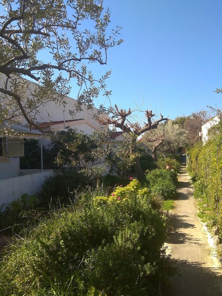 Roula'S Rooms Aegina エクステリア 写真